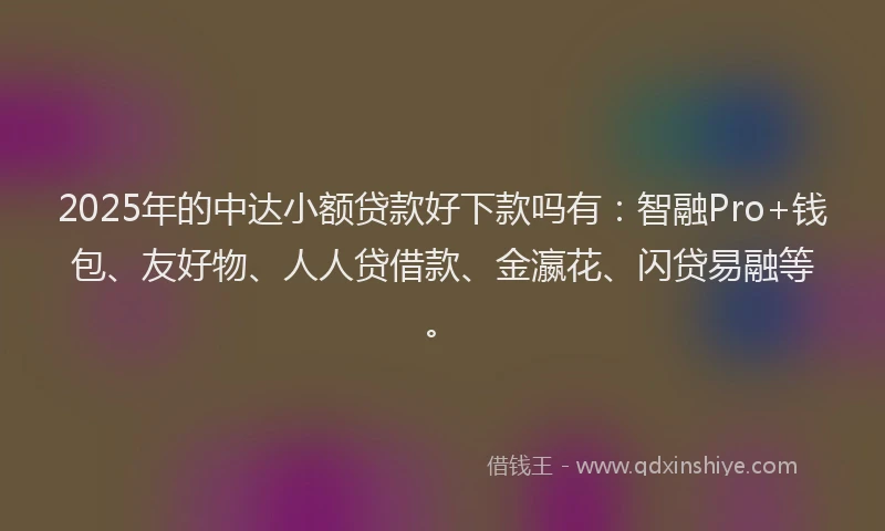 2025年的中达小额贷款好下款吗有：智融Pro+钱包、友好物、人人贷借款、金瀛花、闪贷易融等。