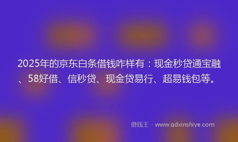 2025年的京东白条借钱咋样有：现金秒贷通宝融、58好借、信秒贷、现金贷易行、超易钱包等。