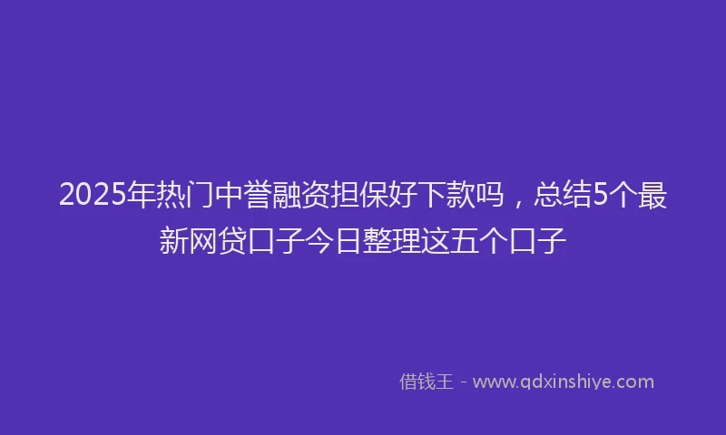 2025年热门中誉融资担保好下款吗,总结5个最新网贷口子今日整理这五个口子