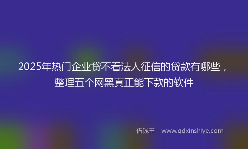 2025年热门企业贷不看法人征信的贷款有哪些，整理五个网黑真正能下款的软件