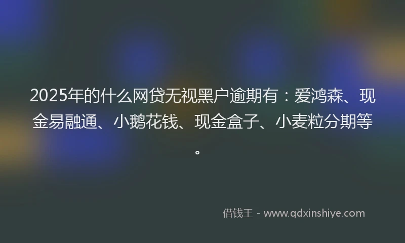 2025年的什么网贷无视黑户逾期有：爱鸿森、现金易融通、小鹅花钱、现金盒子、小麦粒分期等。