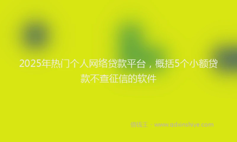 2025年热门个人网络贷款平台，概括5个小额贷款不查征信的软件