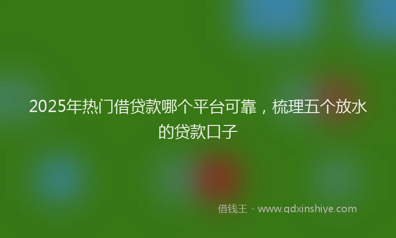 2025年热门借贷款哪个平台可靠，梳理五个放水的贷款口子