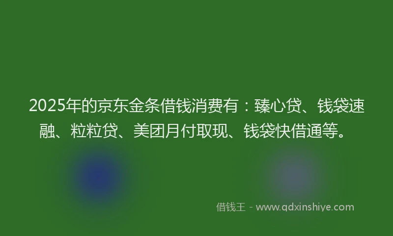 2025年的京东金条借钱消费有：臻心贷、钱袋速融、粒粒贷、美团月付取现、钱袋快借通等。