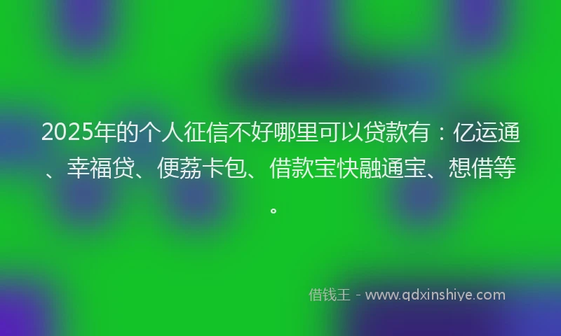 2025年的个人征信不好哪里可以贷款有：亿运通、幸福贷、便荔卡包、借款宝快融通宝、想借等。