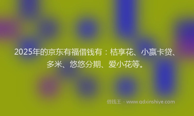 2025年的京东有福借钱有：桔享花、小赢卡贷、多米、悠悠分期、爱小花等。