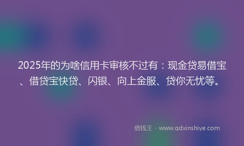 2025年的为啥信用卡审核不过有：现金贷易借宝、借贷宝快贷、闪银、向上金服、贷你无忧等。