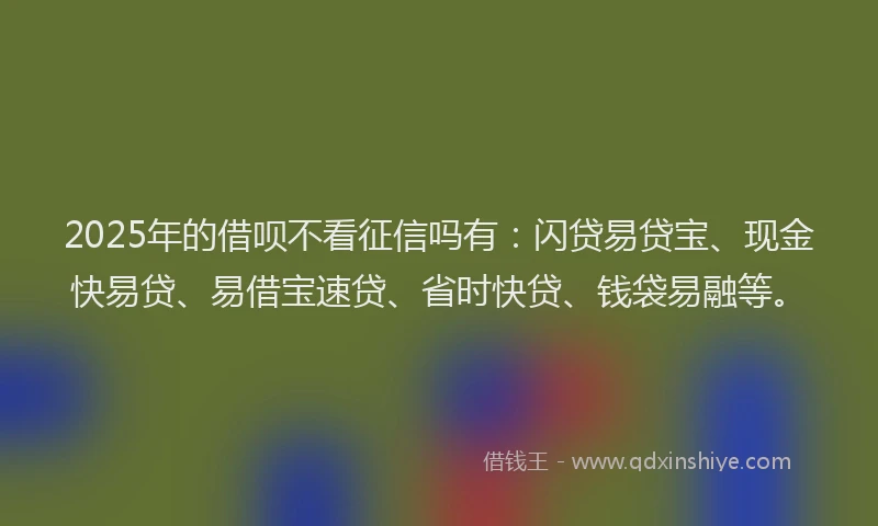 2025年的借呗不看征信吗有：闪贷易贷宝、现金快易贷、易借宝速贷、省时快贷、钱袋易融等。