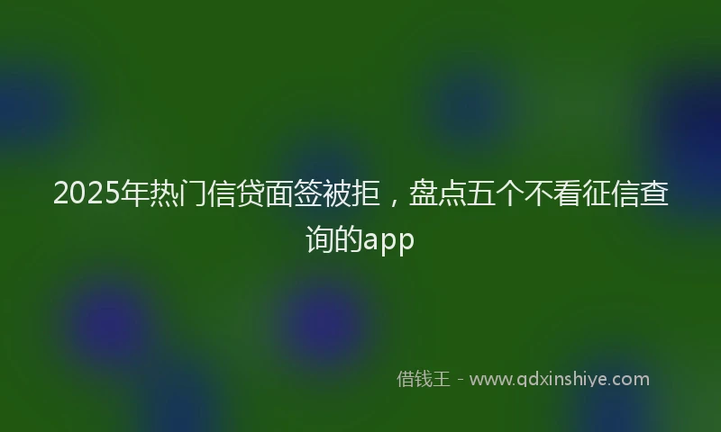 2025年热门信贷面签被拒，盘点五个不看征信查询的app