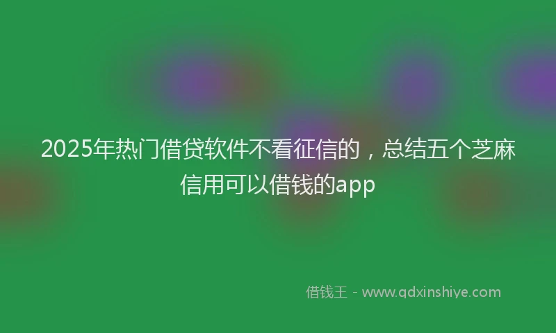 2025年热门借贷软件不看征信的，总结五个芝麻信用可以借钱的app