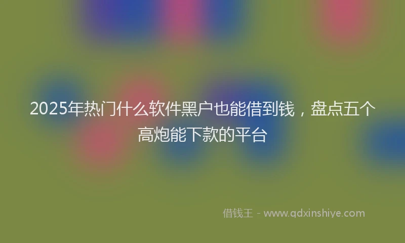 2025年热门什么软件黑户也能借到钱，盘点五个高炮能下款的平台