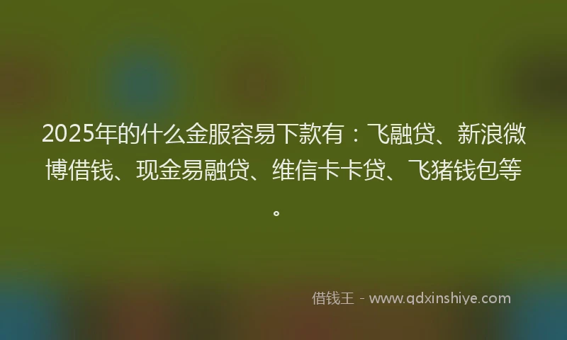 2025年的什么金服容易下款有：飞融贷、新浪微博借钱、现金易融贷、维信卡卡贷、飞猪钱包等。