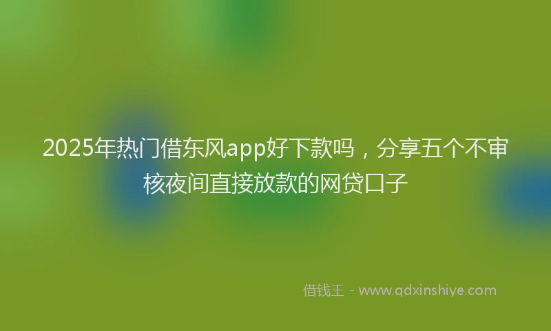 2025年热门借东风app好下款吗，分享五个不审核夜间直接放款的网贷口子