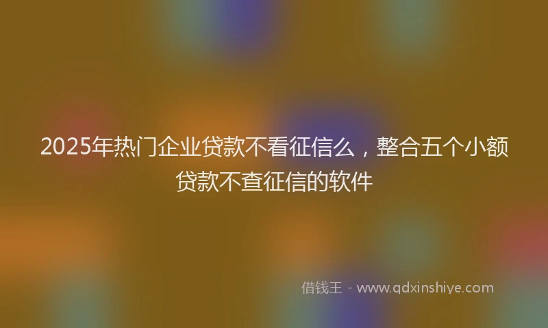 2025年热门企业贷款不看征信么，整合五个小额贷款不查征信的软件
