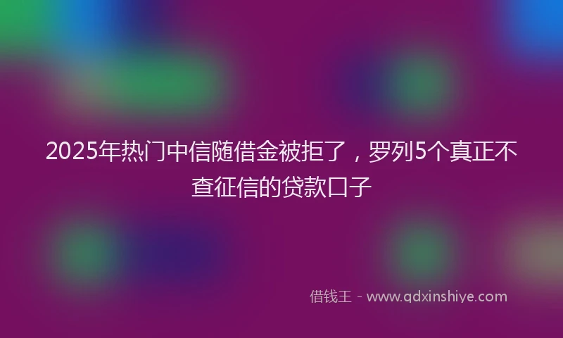 2025年热门中信随借金被拒了，罗列5个真正不查征信的贷款口子