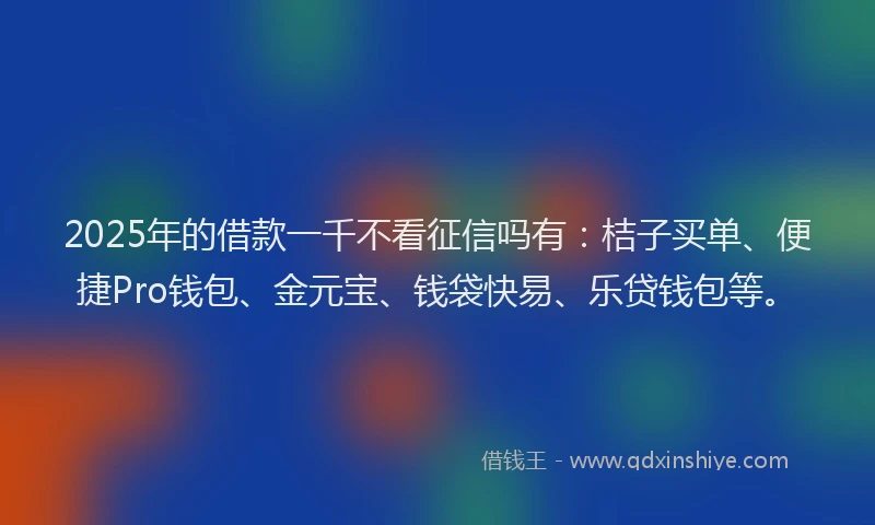 2025年的借款一千不看征信吗有：桔子买单、便捷Pro钱包、金元宝、钱袋快易、乐贷钱包等。