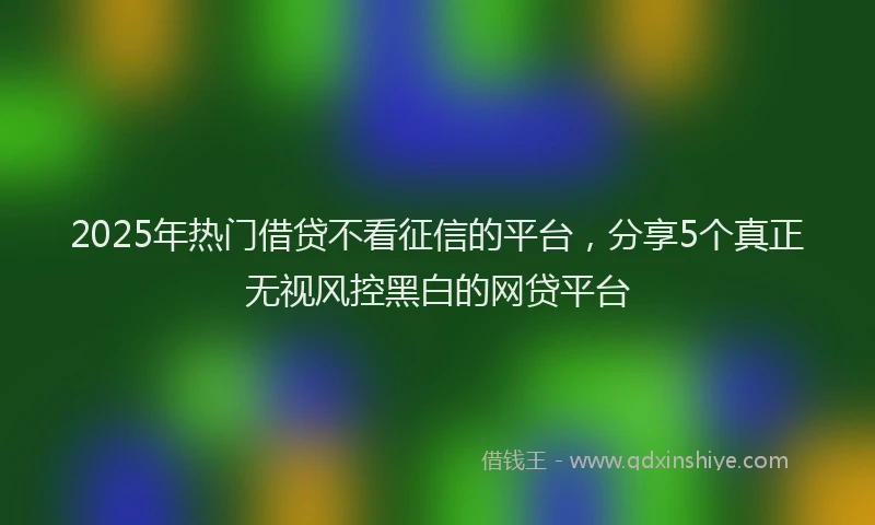 2025年热门借贷不看征信的平台，分享5个真正无视风控黑白的网贷平台