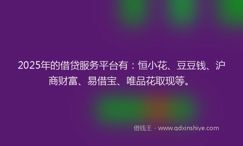 2025年的借贷服务平台有：恒小花、豆豆钱、沪商财富、易借宝、唯品花取现等。