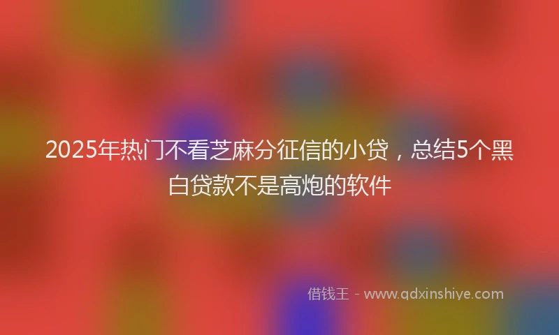 2025年热门不看芝麻分征信的小贷，总结5个黑白贷款不是高炮的软件