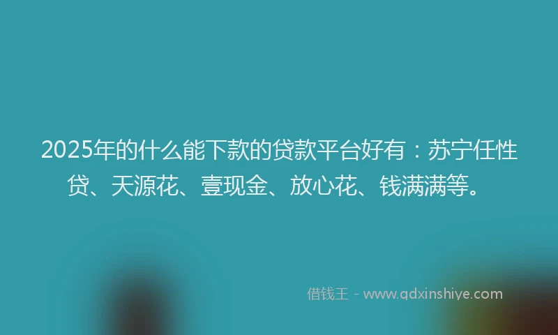 2025年的什么能下款的贷款平台好有：苏宁任性贷、天源花、壹现金、放心花、钱满满等。