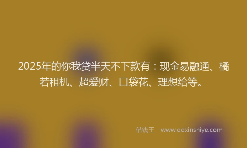 2025年的你我贷半天不下款有：现金易融通、橘若租机、超爱财、口袋花、理想给等。