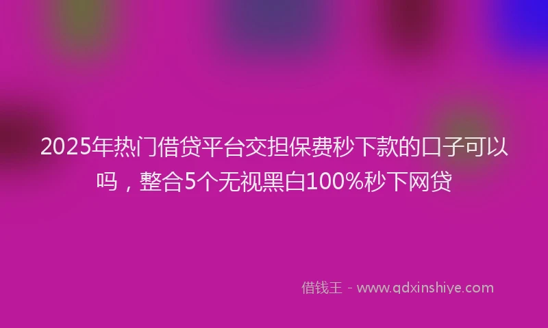 2025年热门借贷平台交担保费秒下款的口子可以吗，整合5个无视黑白100%秒下网贷