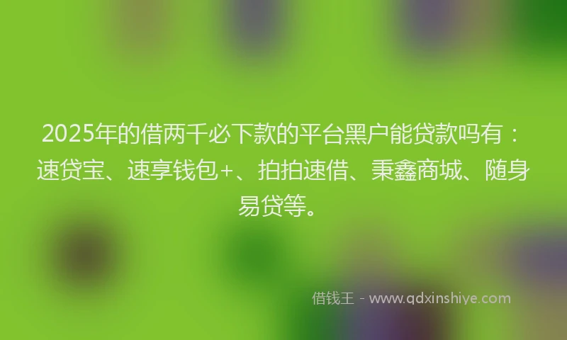 2025年的借两千必下款的平台黑户能贷款吗有：速贷宝、速享钱包+、拍拍速借、秉鑫商城、随身易贷等。