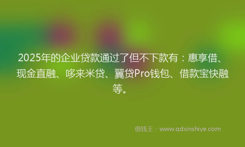 2025年的企业贷款通过了但不下款有：惠享借、现金直融、哆来米贷、翼贷Pro钱包、借款宝快融等。