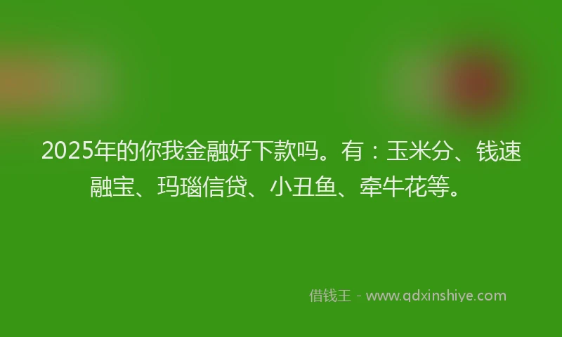 2025年的你我金融好下款吗。有：玉米分、钱速融宝、玛瑙信贷、小丑鱼、牵牛花等。