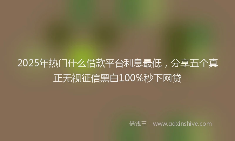 2025年热门什么借款平台利息最低，分享五个真正无视征信黑白100%秒下网贷