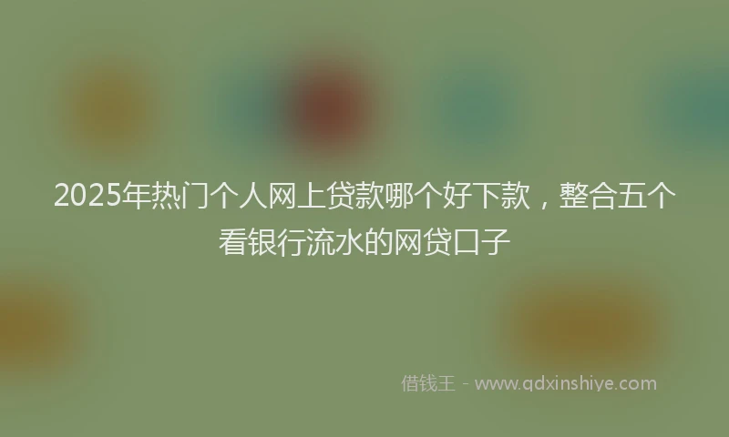 2025年热门个人网上贷款哪个好下款，整合五个看银行流水的网贷口子