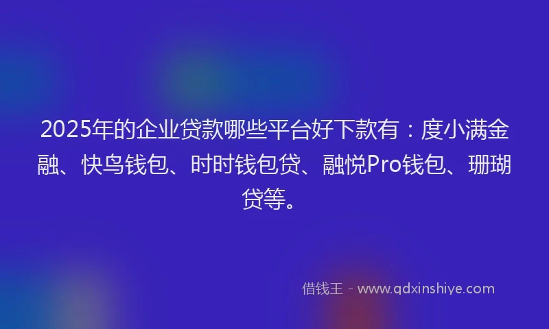 2025年的企业贷款哪些平台好下款有：度小满金融、快鸟钱包、时时钱包贷、融悦Pro钱包、珊瑚贷等。