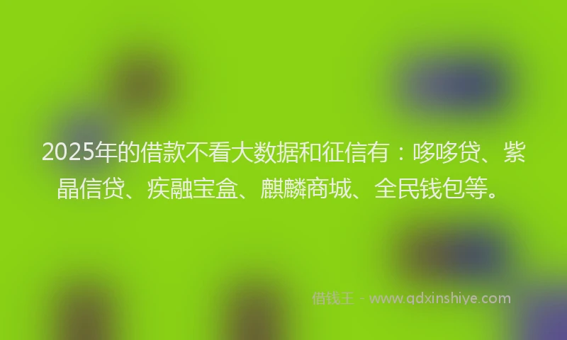 2025年的借款不看大数据和征信有：哆哆贷、紫晶信贷、疾融宝盒、麒麟商城、全民钱包等。