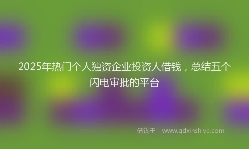 2025年热门个人独资企业投资人借钱，总结五个闪电审批的平台