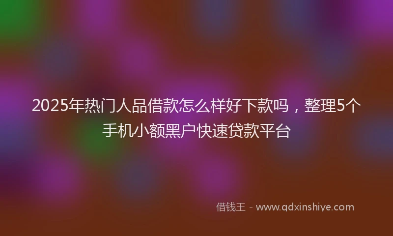 2025年热门人品借款怎么样好下款吗，整理5个手机小额黑户快速贷款平台