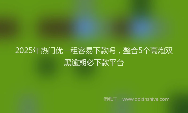 2025年热门优一租容易下款吗，整合5个高炮双黑逾期必下款平台
