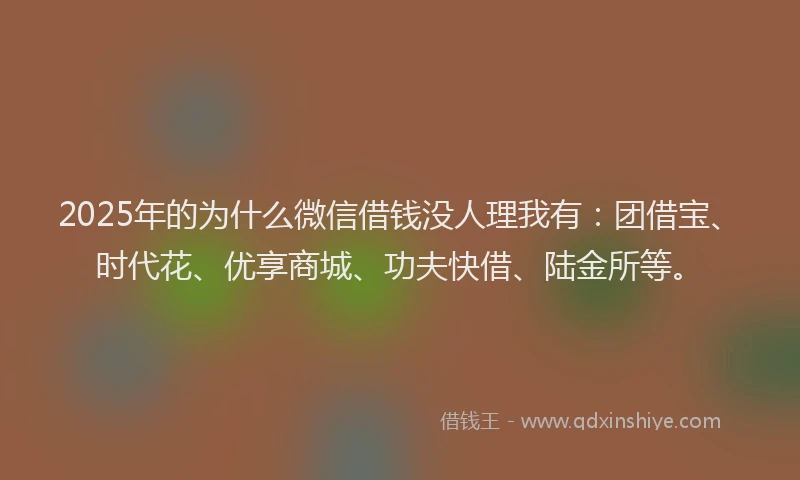 2025年的为什么微信借钱没人理我有：团借宝、时代花、优享商城、功夫快借、陆金所等。