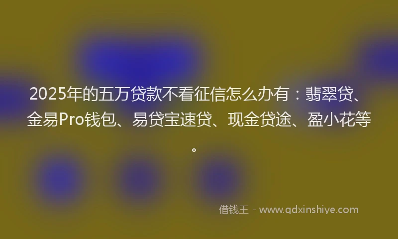 2025年的五万贷款不看征信怎么办有：翡翠贷、金易Pro钱包、易贷宝速贷、现金贷途、盈小花等。