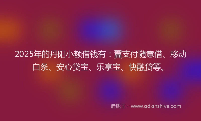 2025年的丹阳小额借钱有：翼支付随意借、移动白条、安心贷宝、乐享宝、快融贷等。