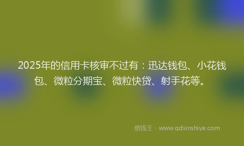 2025年的信用卡核审不过有：迅达钱包、小花钱包、微粒分期宝、微粒快贷、射手花等。