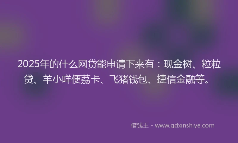 2025年的什么网贷能申请下来有：现金树、粒粒贷、羊小咩便荔卡、飞猪钱包、捷信金融等。
