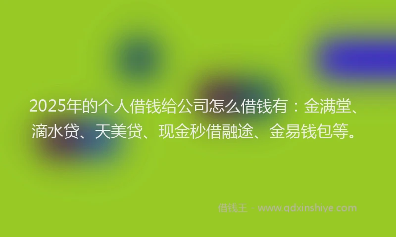 2025年的个人借钱给公司怎么借钱有：金满堂、滴水贷、天美贷、现金秒借融途、金易钱包等。