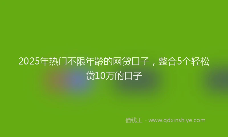 2025年热门不限年龄的网贷口子，整合5个轻松贷10万的口子