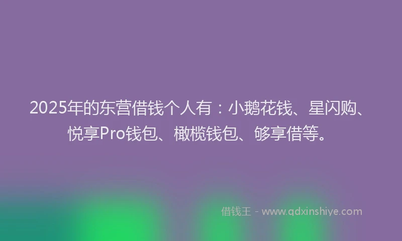 2025年的东营借钱个人有：小鹅花钱、星闪购、悦享Pro钱包、橄榄钱包、够享借等。
