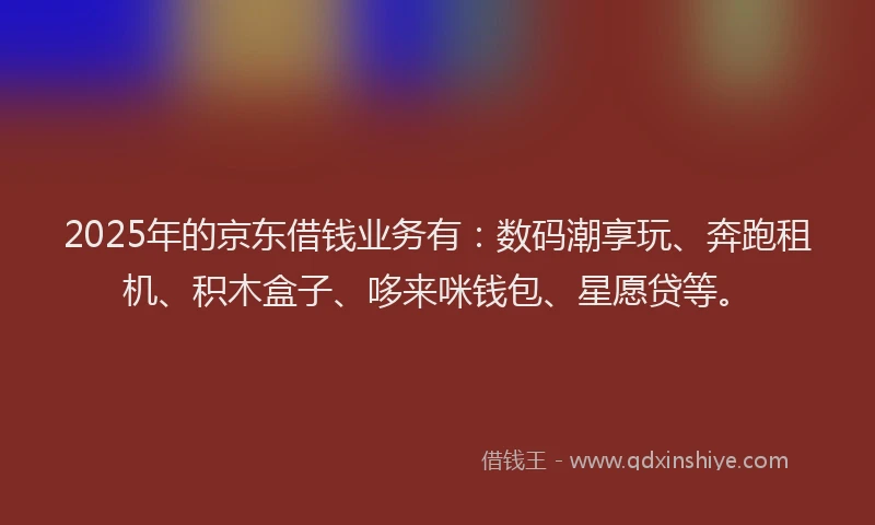 2025年的京东借钱业务有：数码潮享玩、奔跑租机、积木盒子、哆来咪钱包、星愿贷等。