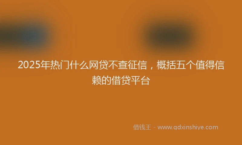 2025年热门什么网贷不查征信，概括五个值得信赖的借贷平台