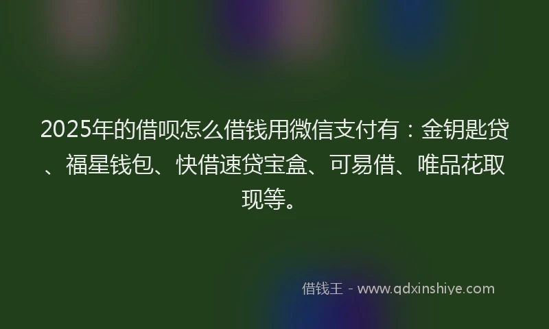 2025年的借呗怎么借钱用微信支付有：金钥匙贷、福星钱包、快借速贷宝盒、可易借、唯品花取现等。