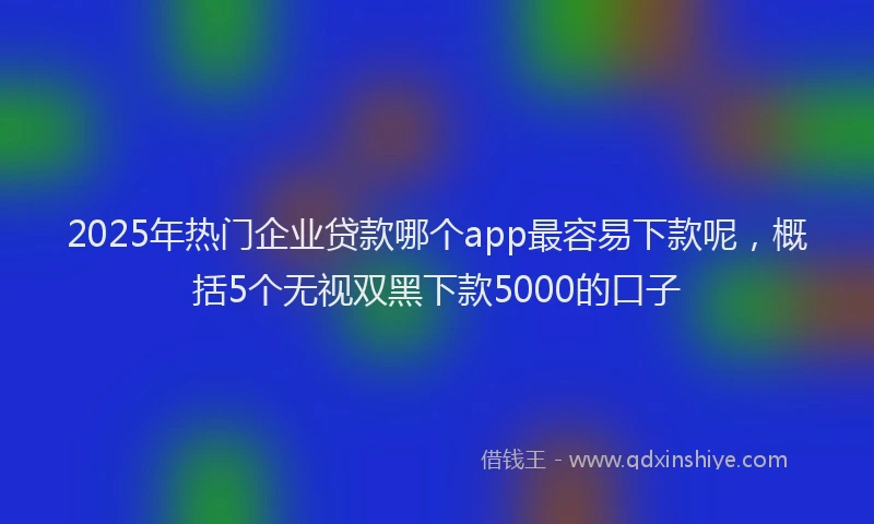 2025年热门企业贷款哪个app最容易下款呢，概括5个无视双黑下款5000的口子