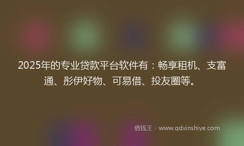 2025年的专业贷款平台软件有：畅享租机、支富通、彤伊好物、可易借、投友圈等。