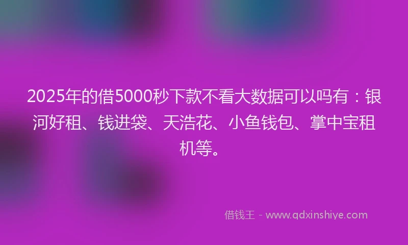 2025年的借5000秒下款不看大数据可以吗有：银河好租、钱进袋、天浩花、小鱼钱包、掌中宝租机等。